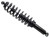 Bronco - Gas Shock Rear - AU-04488
