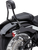 Cobra - Detachable Backrest Round Black Flfb/s  Fxbr/s 18-25 - 602-2007B