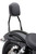 Cobra - Standard Sissy Bar Black Flstf 07-17 - 602-1151B