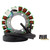 Rm Stator - High Output Stator 200w Stator+connector - RMS010-107205
