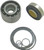 Wsm - Pump Repair Kit Sea Doo Gtx 4tec 2002 - 003-644