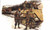 DML Military Kits - Armored Recon Ss 1:35 - 6131