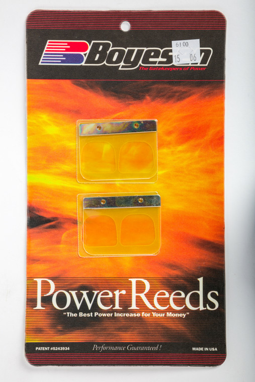 Boyesen - Motorcycle Reeds - 6100