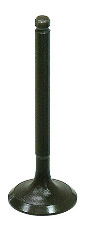 Bronco - Intake Valve - AU-09212I