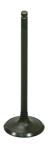Bronco - Intake Valve - AU-09206I