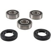 Pivot Works - Rear Wheel Bearing Kit - PWRWK-K09-008
