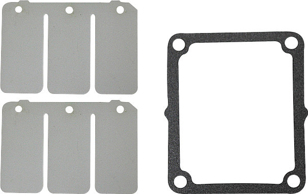 Sp1 - Reed Valve Rebuild Kit Yam - SM-07158C