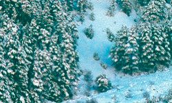 Vallejo Acrylic Paints - Foam/Snow 32ml 1p - 26231