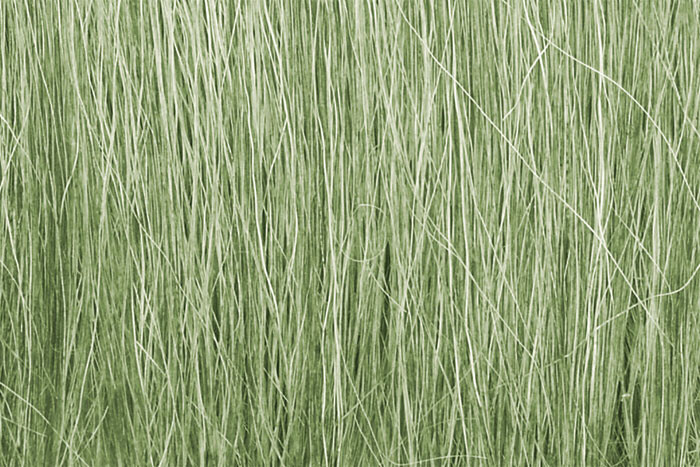 Woodland Scenics - Field Grass Light Green - 173