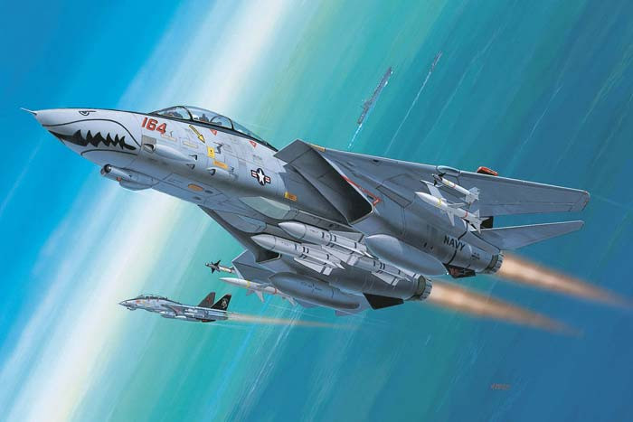 Revell Monogram Germany - F-14D SUPER TOMCAT 1:144 - 4049