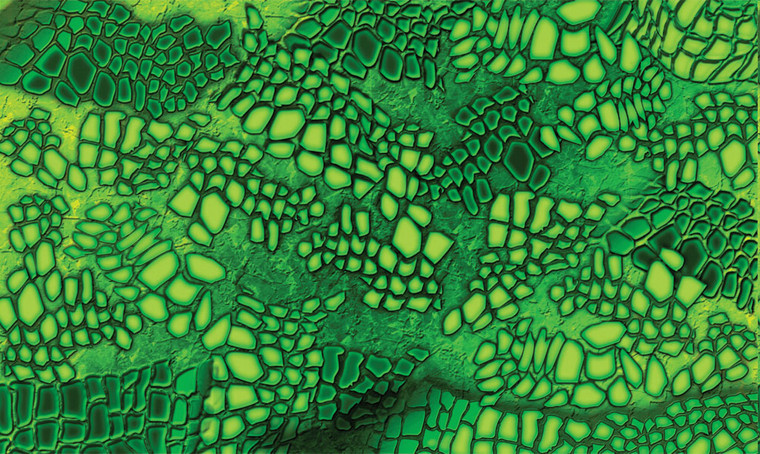 Pinecar - Gator Body Skin - 3979