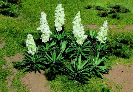 JTT Trees & Shrubs - Ho Yucca - 95611