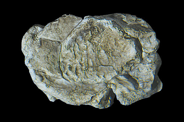 Woodland Scenics - Rock Mold Wind Rock - 1237