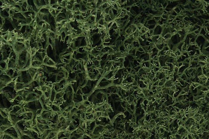 Woodland Scenics - Lichen Medium Green - 163