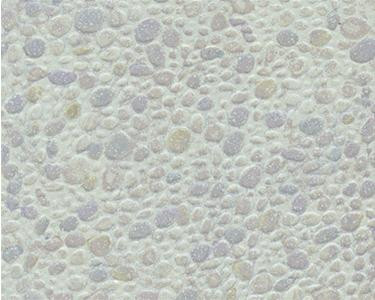 Plastruct - Ps-74 2pk Polished Stone Ho - 91582