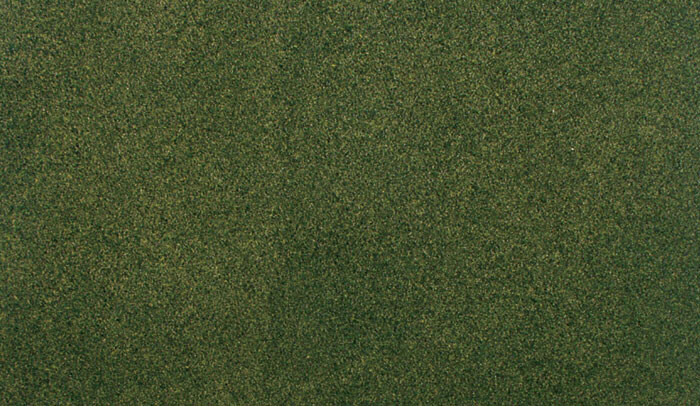 Woodland Scenics - Forest Grass Mat 33'x50' - 5133