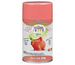 Testors Paints - Craft Gloss Coral Spray 3pk - 304359