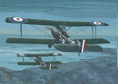 Roden Model Aircrafts - Sopwith 1 1/2 Strutter Com :48 - 407