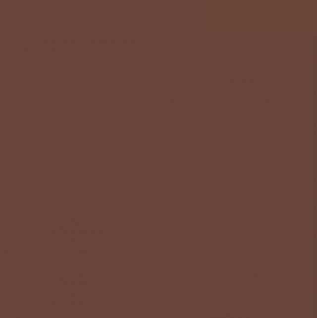 Mission Model Paint - MMP-060 Dark Tan FS30219 - 60