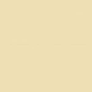 Mission Model Paint - MMP-070 Radome Tan FS 33613 - 70