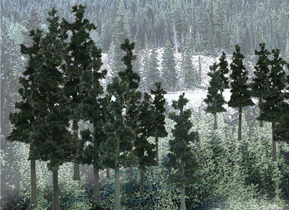 Woodland Scenics - Rm Conifer Trees 2 1/2'-4' 33p - 1580