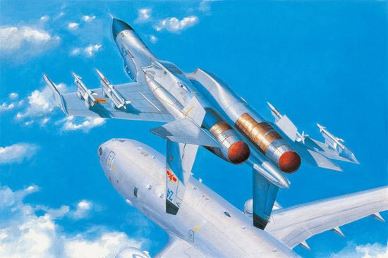 Hobby Boss Models - Pla J-11B 1:48 - 81715