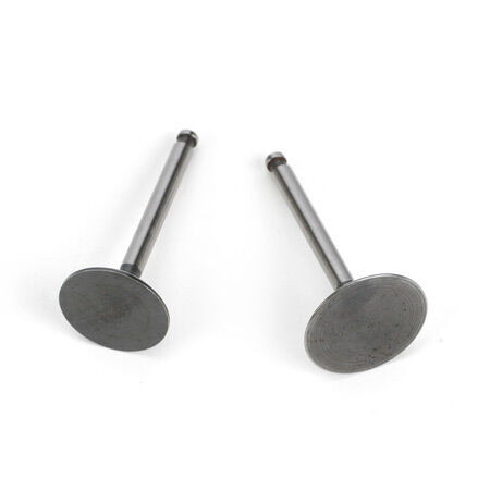 Saito Engines - Valve (in&out) Pair: Fg-36: Ak,bp - G3646