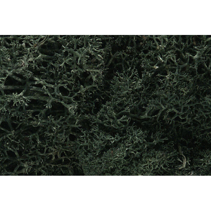Woodland Scenics - Lichen Bag, Dark Green/82 Cu. In. - L164