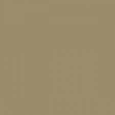 Mission Models - Acrylic Model Paint 1 oz bottle, Sandgrau  RAL 7027 - MMP-016