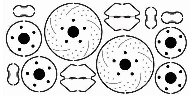 Gofer Racing Model Decals - 15' Diameter Disk Brakes 2 sets - 20020