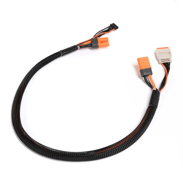Spektrum - Charge lead w/Bal Ext. 24 inch IC5, 2 ? 6S - X-1012