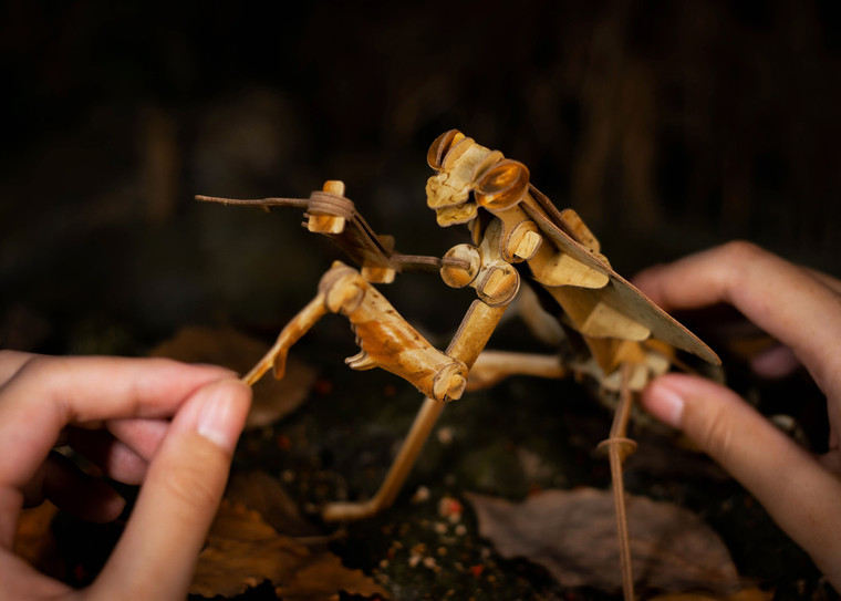 Make Bug - Dead Leaf Mantis 3D Puzzle, Bring Nature Home - C0004