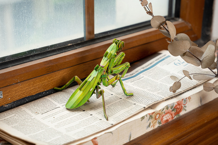 Make Bug - Giant Praying Mantis 3D Kraft Paper Puzzle - C0013