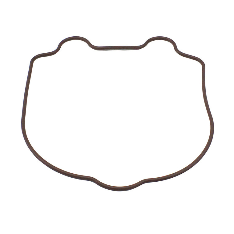 Polaris 0452392 Genuine OEM Cylinder Head Cover O-Ring 2005-2019 Phoenix Sawtooth 200