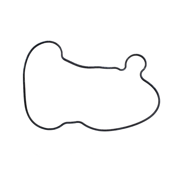 Polaris 5413036 Gland Head Seal 2007-2023 Indy RMK SwitchBack Assault Pro RMK