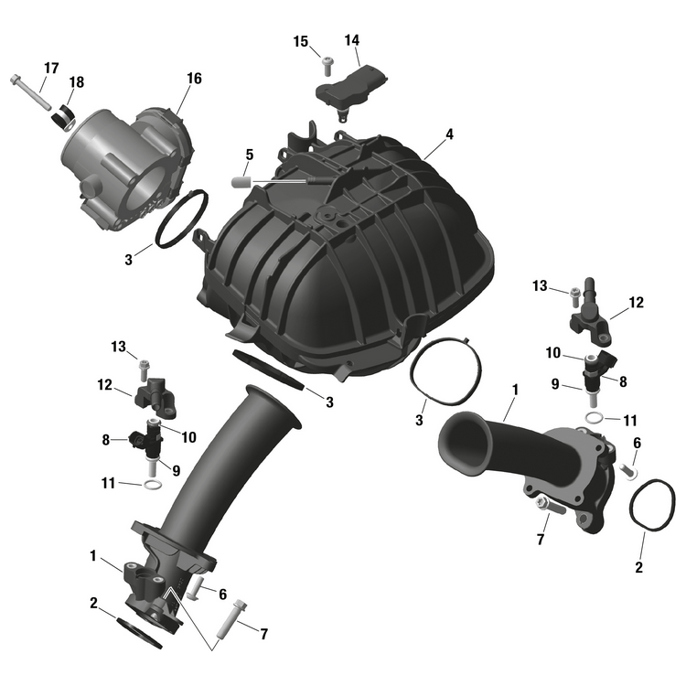 Can-Am - Fuel Rail - 420874902