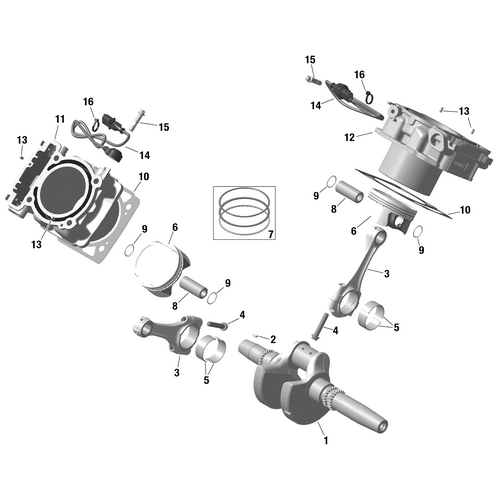 Can-Am - Noise Sensor - 420664031