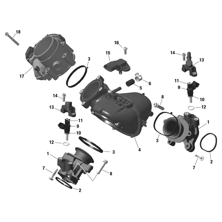 Can-Am - Injection Valve Assy - 420874847