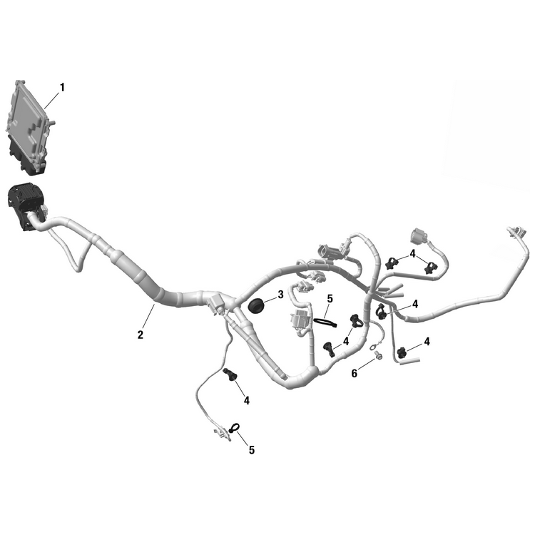 Can-Am - ECM Module - 420464172