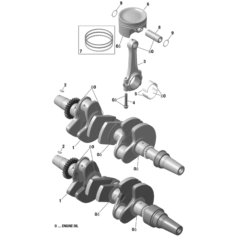 Can-Am - Crankshaft - 420819787