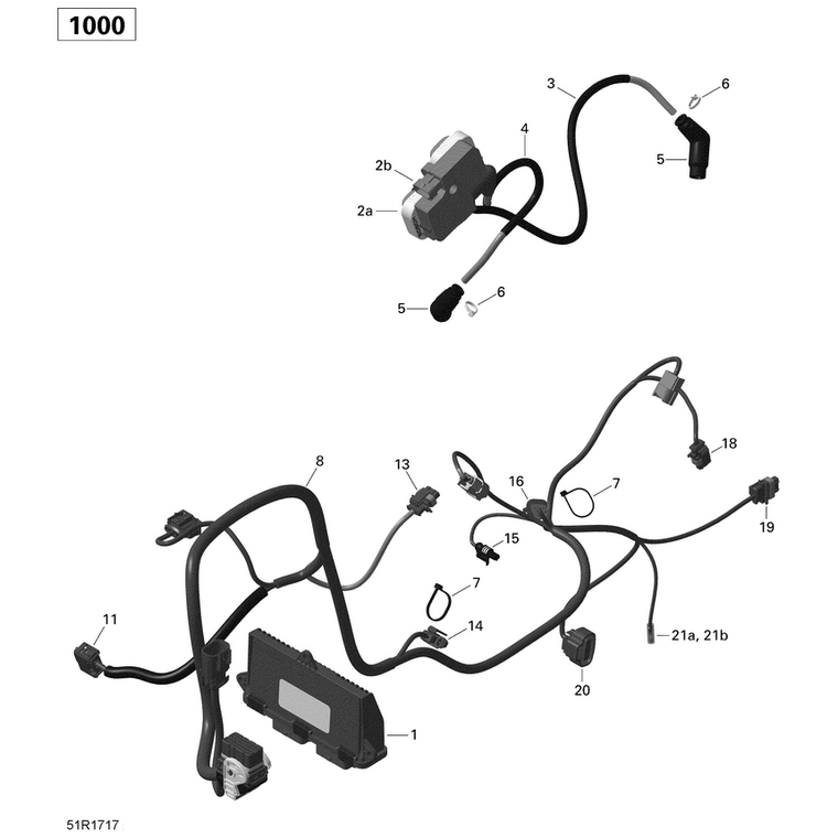 Can-Am - Engine Control Module - 420866511