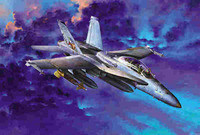 Academy Models - F/A-18D Hornet Nght Attack 1:32 - 12103