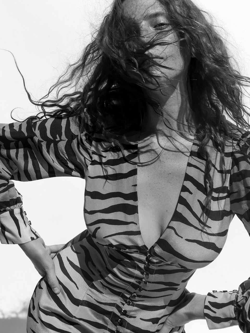 The Vivienne - Tiger The Vivienne - Tiger