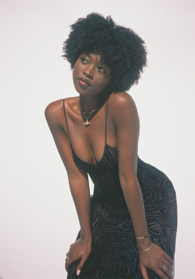 The Amber Zebra | Long Black Slip Dress 
