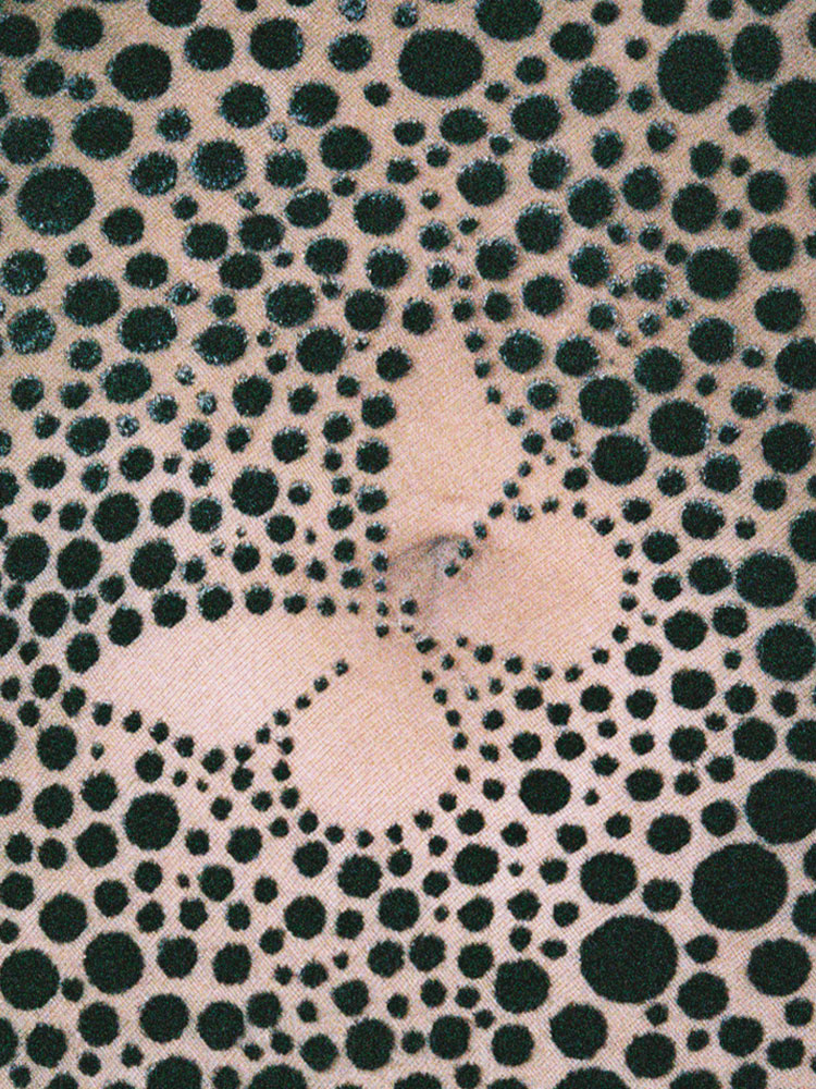 The Alana - Luna Butterfly