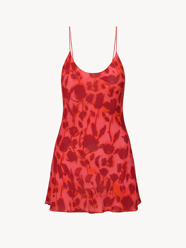 The Luz - Havana The Luz - Havana