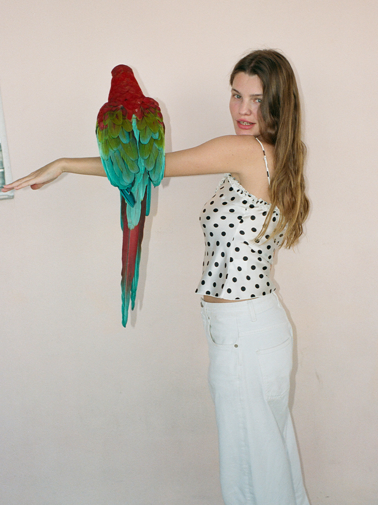 The Evie - Dolce Spot The Evie - Dolce Spot