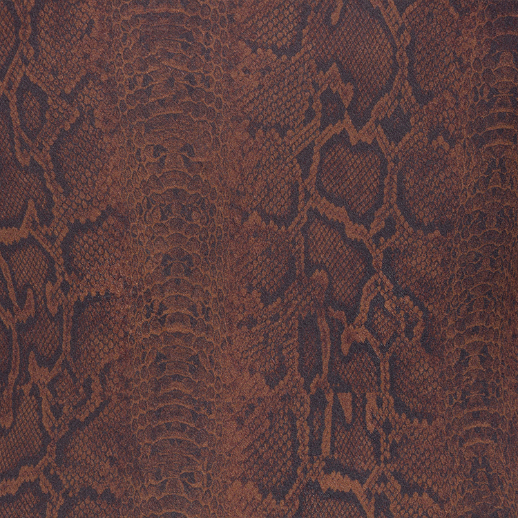 The Luz - Python The Luz - Python