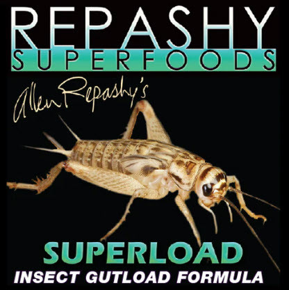 Repashy's SuperLoad Insect Gutload Formula