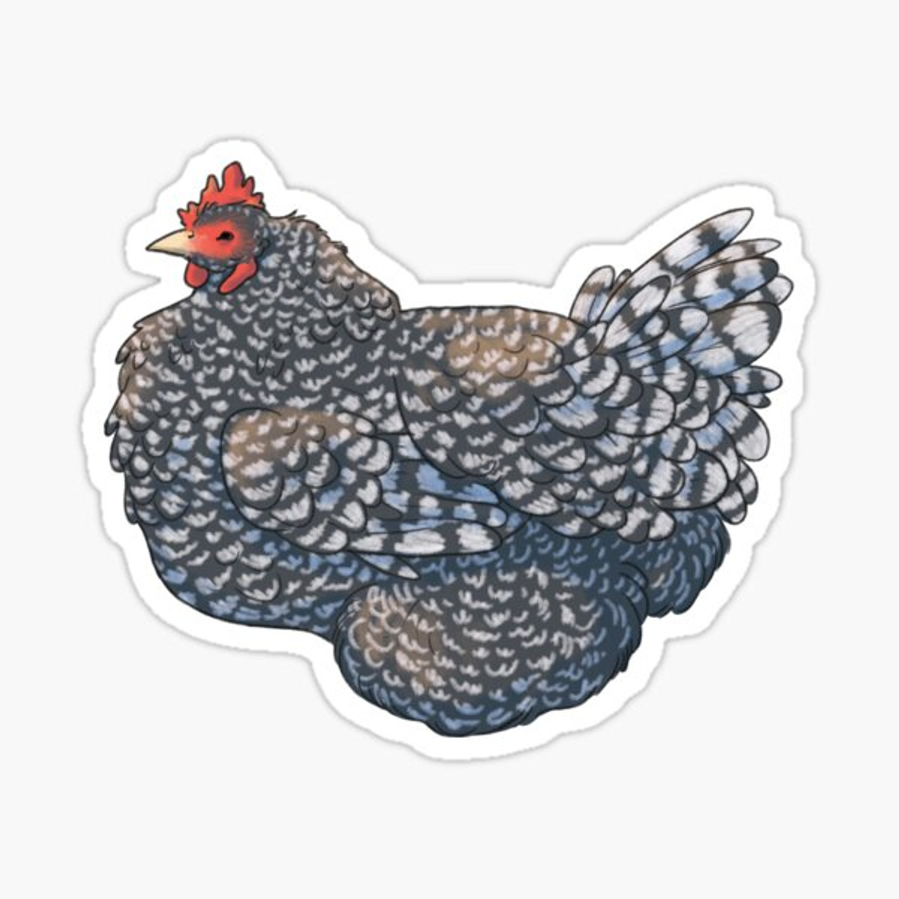 Barred Rock Chicken sticker